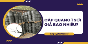 Dây cáp quang 1 sợi giá bao nhiêu năm 2025?